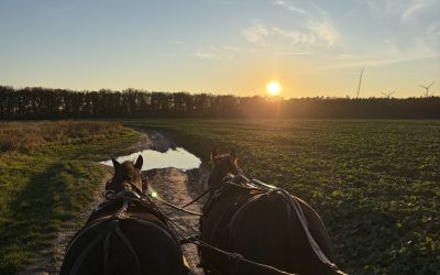 Ein schöner Novembertag
