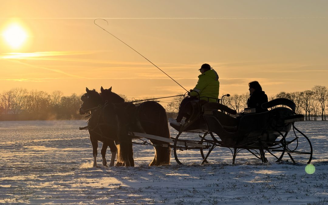 Mit der Schlittenkutsche durch den Schnee
